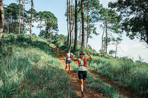 BIB: 
                            <button type="button" onclick="openModal(25674056)" class="btn btn-primary btn-sm float-right btn-popup" data-toggle="modal" data-target=".modal-high-quality">
                        <i class="fas fa-shopping-cart"></i> Add to Cart
                    </button>
                                            <button type="button" onclick="isThisMe(25674056, true)" class="btn btn-success btn-sm float-right btn-popup btn-isme hidden" data-toggle="tooltip" data-placement="bottom" title="นี่คือรูปของคุณใช่ไหม คลิกที่นี่เพื่อเอาเข้าอัลบั้ม">
                        <i class="fas fa-plus"></i> Add to album
                    </button>
                    <button type="button" onclick="isThisMe(25674056, false)" class="btn btn-warning btn-sm float-right btn-popup btn-isnotme hidden">
                        <i class="fas fa-ban"></i> Remove from album
                    </button>